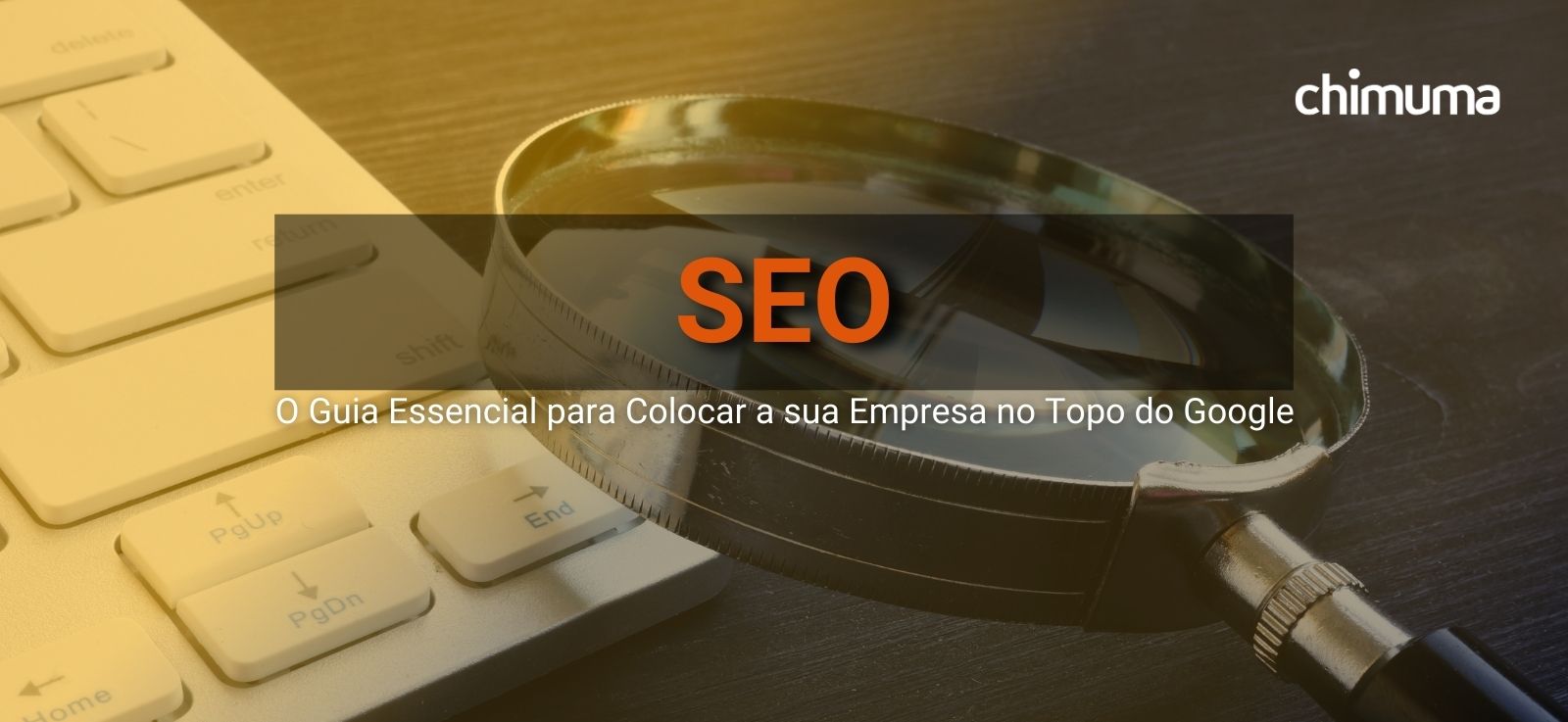 SEO: Guia básico para colocar sua Empresa no Topo do Google.